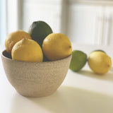 Grès moucheté - Sable - Bol