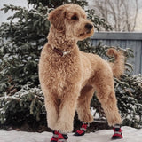 Collier de corde ajustable - Champagne