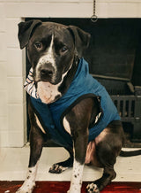 Veste de pluie "Midnight Winston"