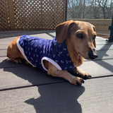 Chandail à capuchon léger pour chien, sans manches à motif "Ancres"