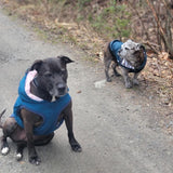 Veste de pluie bleue avec doublure à rayures roses "Bubba"