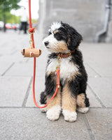 Laisse corde - Laiton - Pêche - 6 pieds