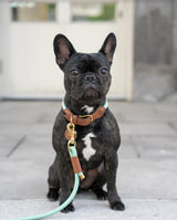 Laisse corde - Laiton - Menthe - 6 pieds