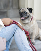 Laisse corde - Laiton - Vin - 6 pieds